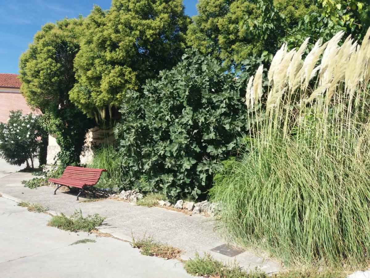 Casa Rural De Anil - Jardin Privado, Wifi, Netflix Y Aire Acondicionado Pensionat Velliza Eksteriør billede